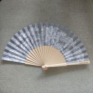 Christian Dior Folding Fan 🪭🪭🪭